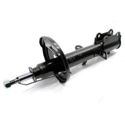 Stoßdämpfer  Hinterlenker