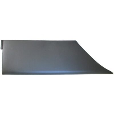 Windschutzscheibe (Tür)  rechts