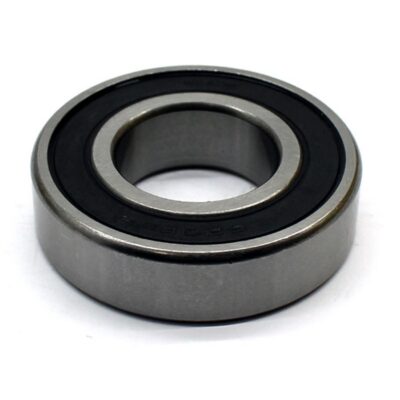 Universelles Lagerbier