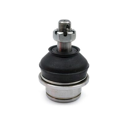 Traggelenke Oberseite rechts/ links