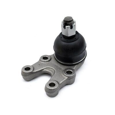 Traggelenke Unterseite links