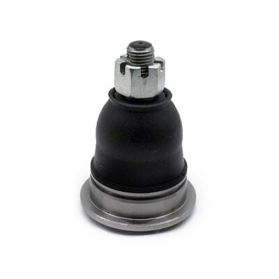 Traggelenke Oberseite rechts/ links