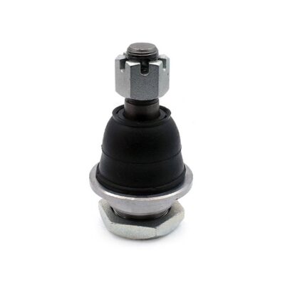 Traggelenke Unterseite rechts/ links