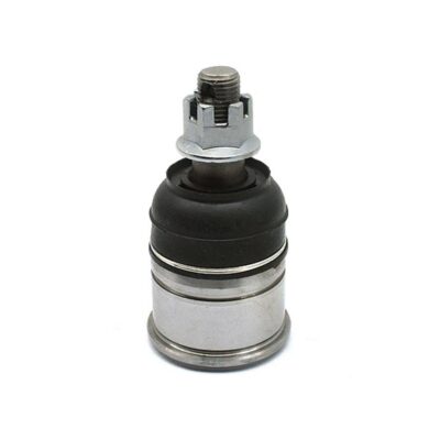 Traggelenke Unterseite rechts/ links