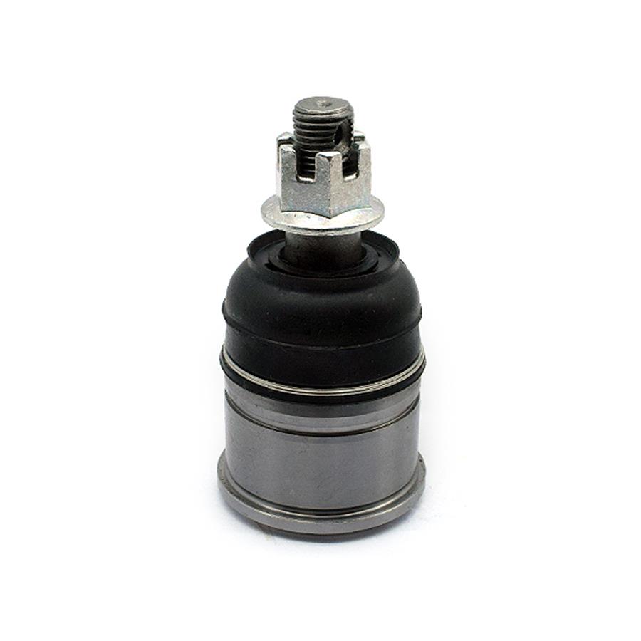 Traggelenke Unterseite rechts/ links