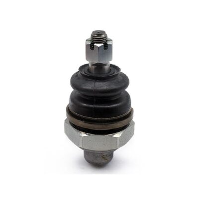 Traggelenke Oberseite rechts/ links