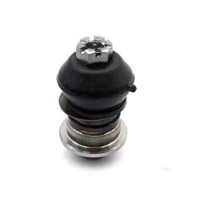 Traggelenke Oberseite rechts/ links