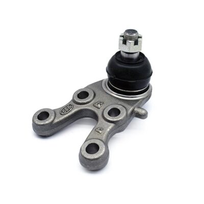 Traggelenke Unterseite rechts