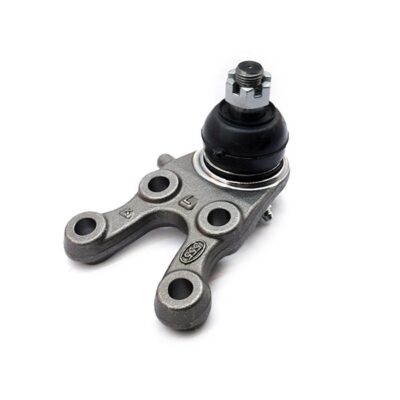 Traggelenke Unterseite links