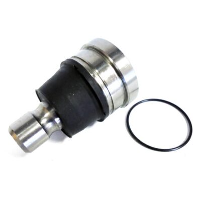 Traggelenke rechts/ links