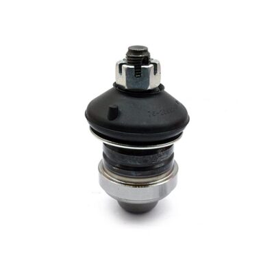 Traggelenke Unterseite rechts/ links