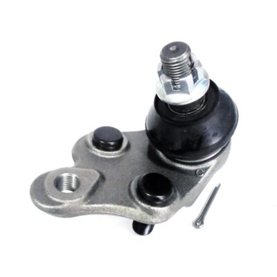 Traggelenke Unterseite rechts