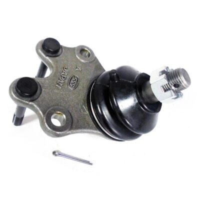 Traggelenke Oberseite rechts/ links