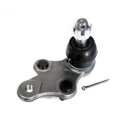 Traggelenke Unterseite rechts