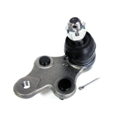 Traggelenke Unterseite links