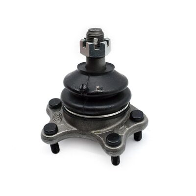 Traggelenke Oberseite rechts/ links