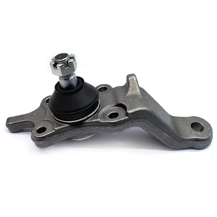 Traggelenke Unterseite rechts