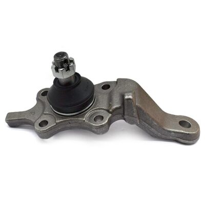 Traggelenke Unterseite links