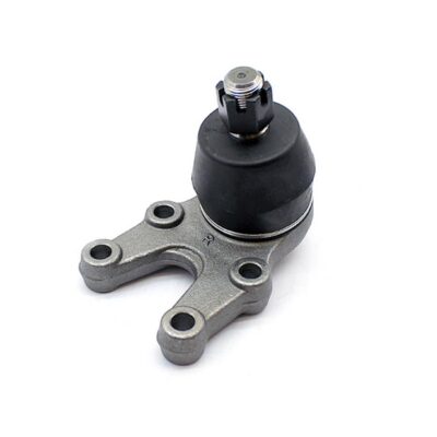 Traggelenke Unterseite rechts