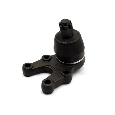 Traggelenke Unterseite links