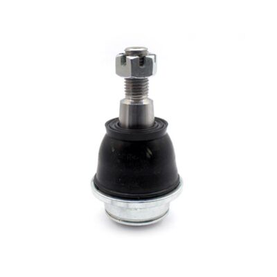 Traggelenke Unterseite rechts/ links