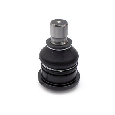 Traggelenke Oberseite rechts/ links