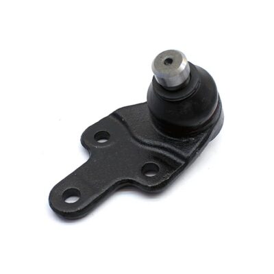 Traggelenke Unterseite links