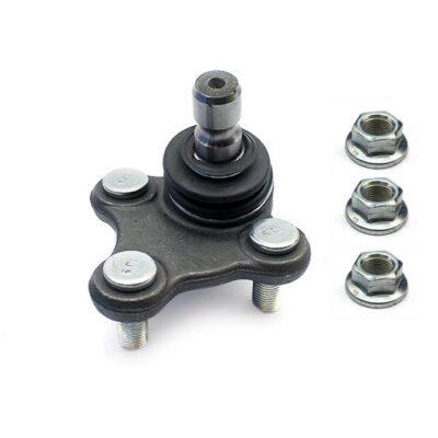 Traggelenke Unterseite rechts