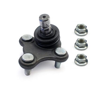 Traggelenke Unterseite links