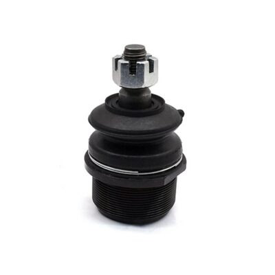 Traggelenke Oberseite rechts/ links