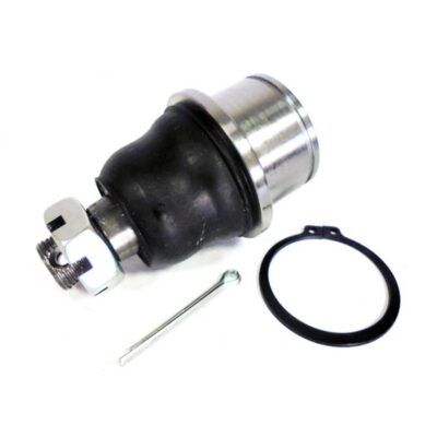 Traggelenke Unterseite rechts/ links