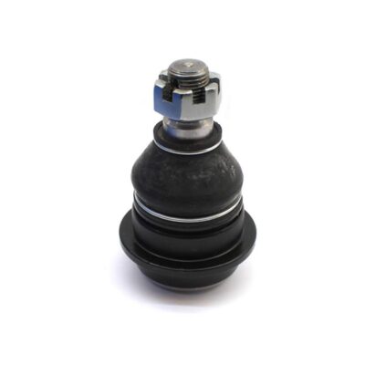 Traggelenke Unterseite rechts/ links