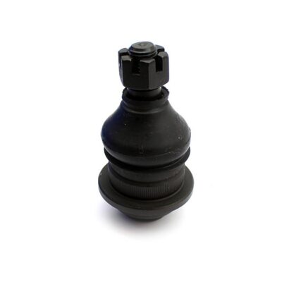 Traggelenke Oberseite rechts/ links