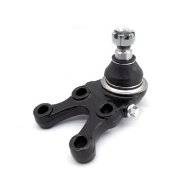 Traggelenke Unterseite rechts