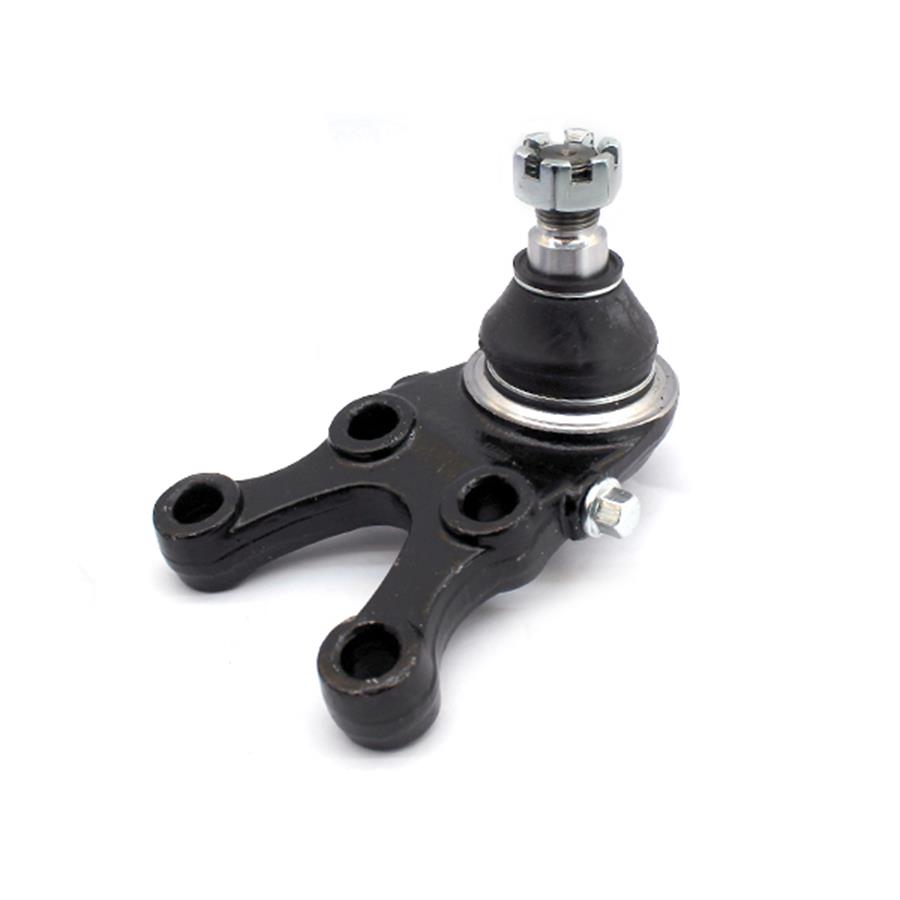 Traggelenke Unterseite rechts