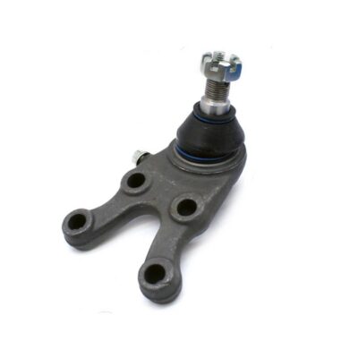 Traggelenke Unterseite links