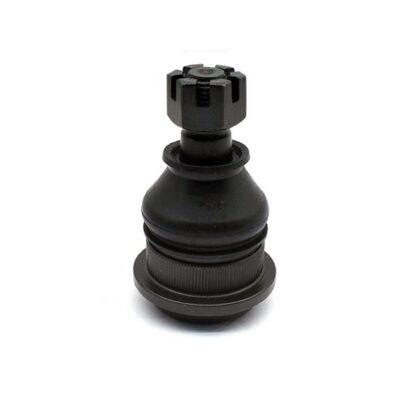 Traggelenke Oberseite rechts/ links