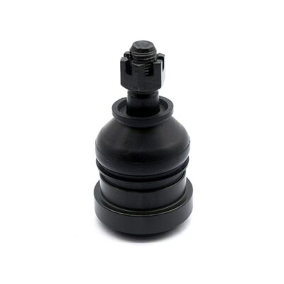 Traggelenke Unterseite rechts/ links