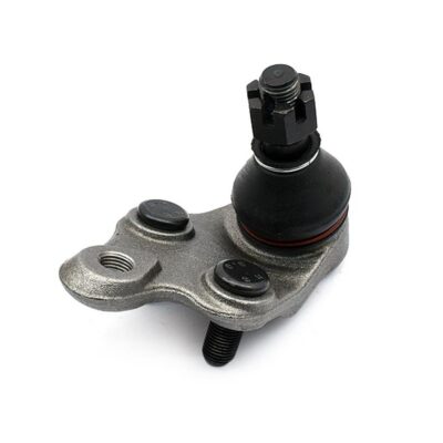 Traggelenke Unterseite links