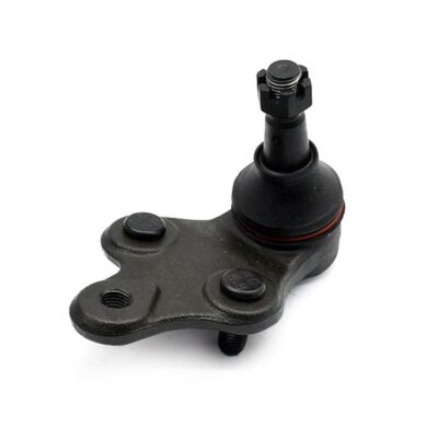 Traggelenke Unterseite rechts