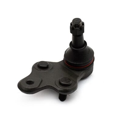 Traggelenke Unterseite links