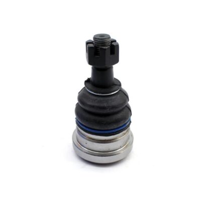 Traggelenke Oberseite rechts/ links