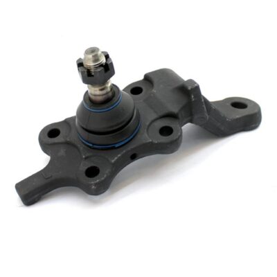 Traggelenke Unterseite links