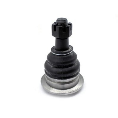 Traggelenke Oberseite rechts/ links