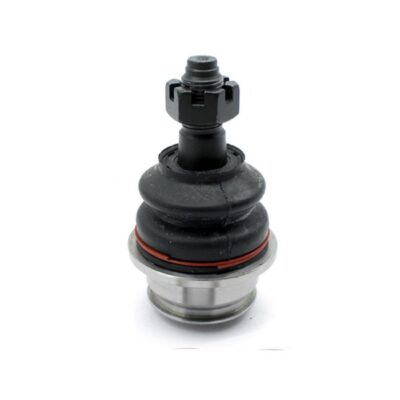 Traggelenke Unterseite rechts/ links