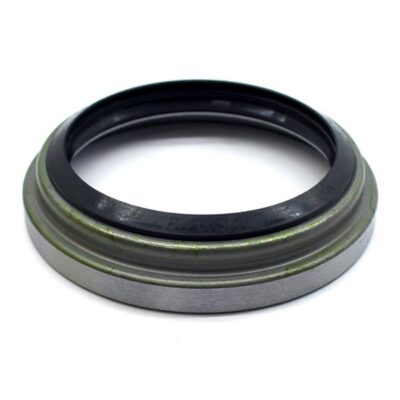 Wellendichtringe  Radnabe  hinten  innen