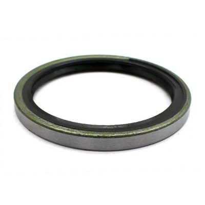 Wellendichtringe  Radnabe  vorne