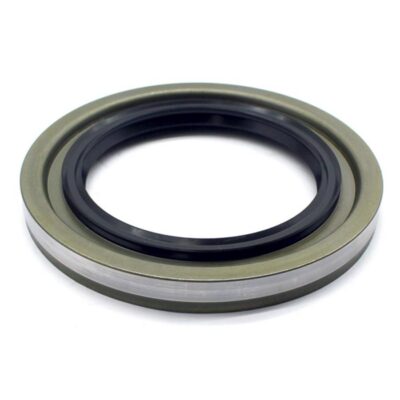 Wellendichtringe  Radnabe  hinten  innen