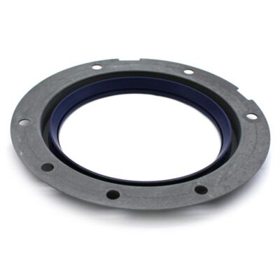 Kurbenwellendichtring  hinten