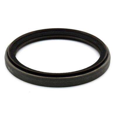 Kurbenwellendichtring  hinten